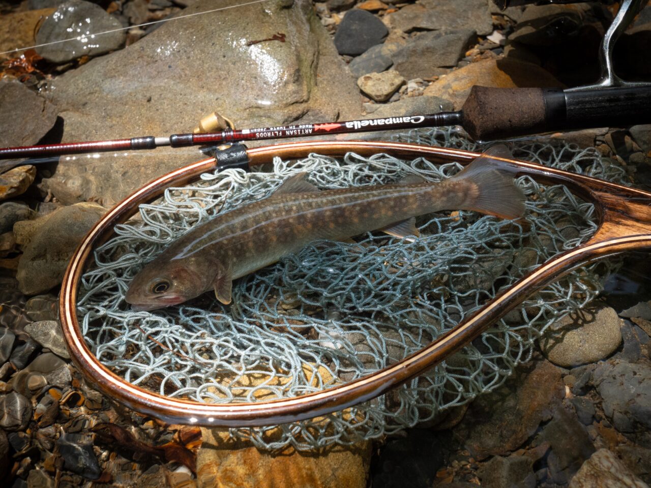 初心者にこそ。渓流釣りのすゝめ