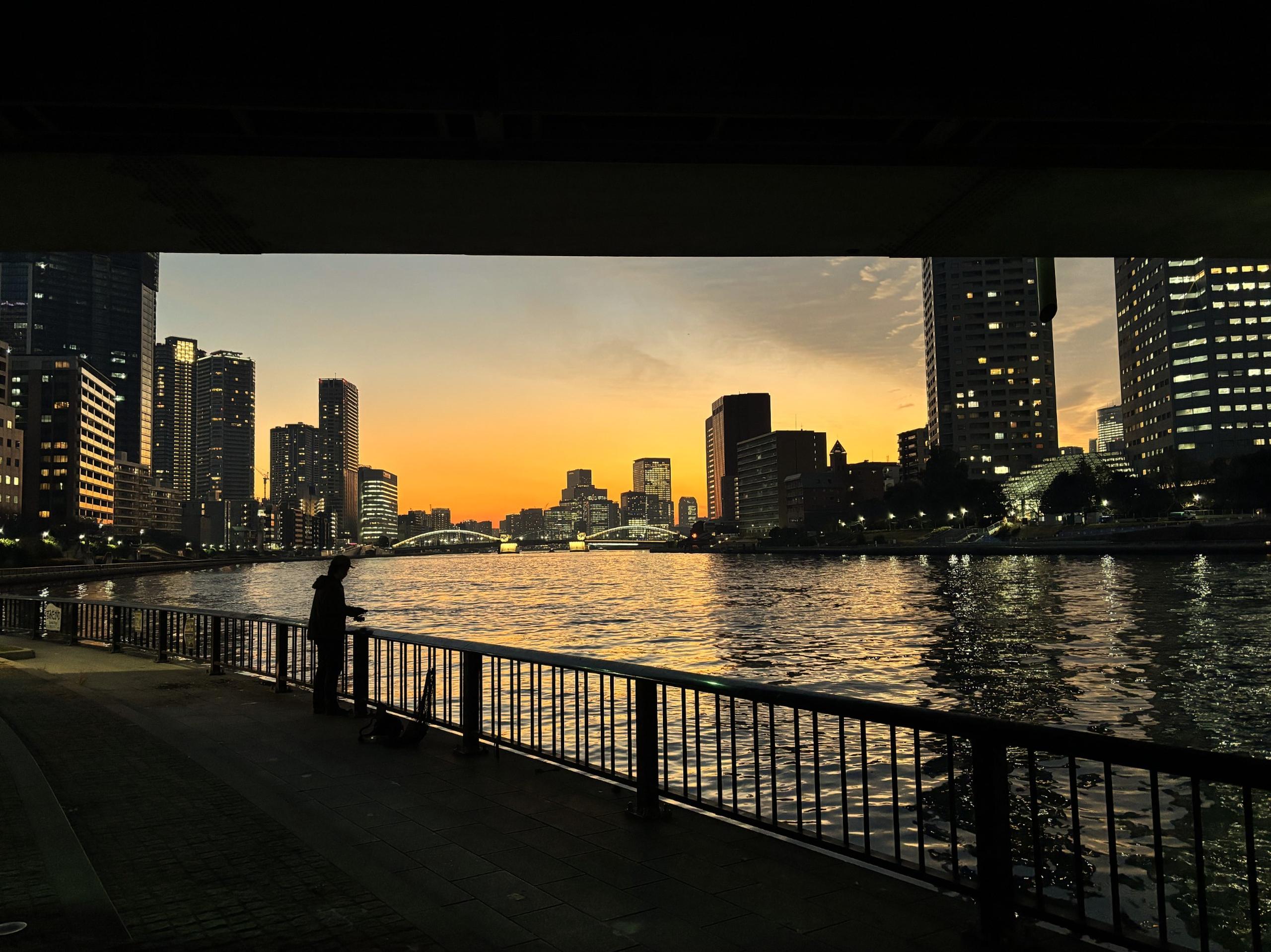 東京湾奥のシーバス釣り
