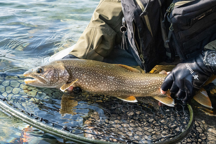 私たちは、湖に何を残していくのか。