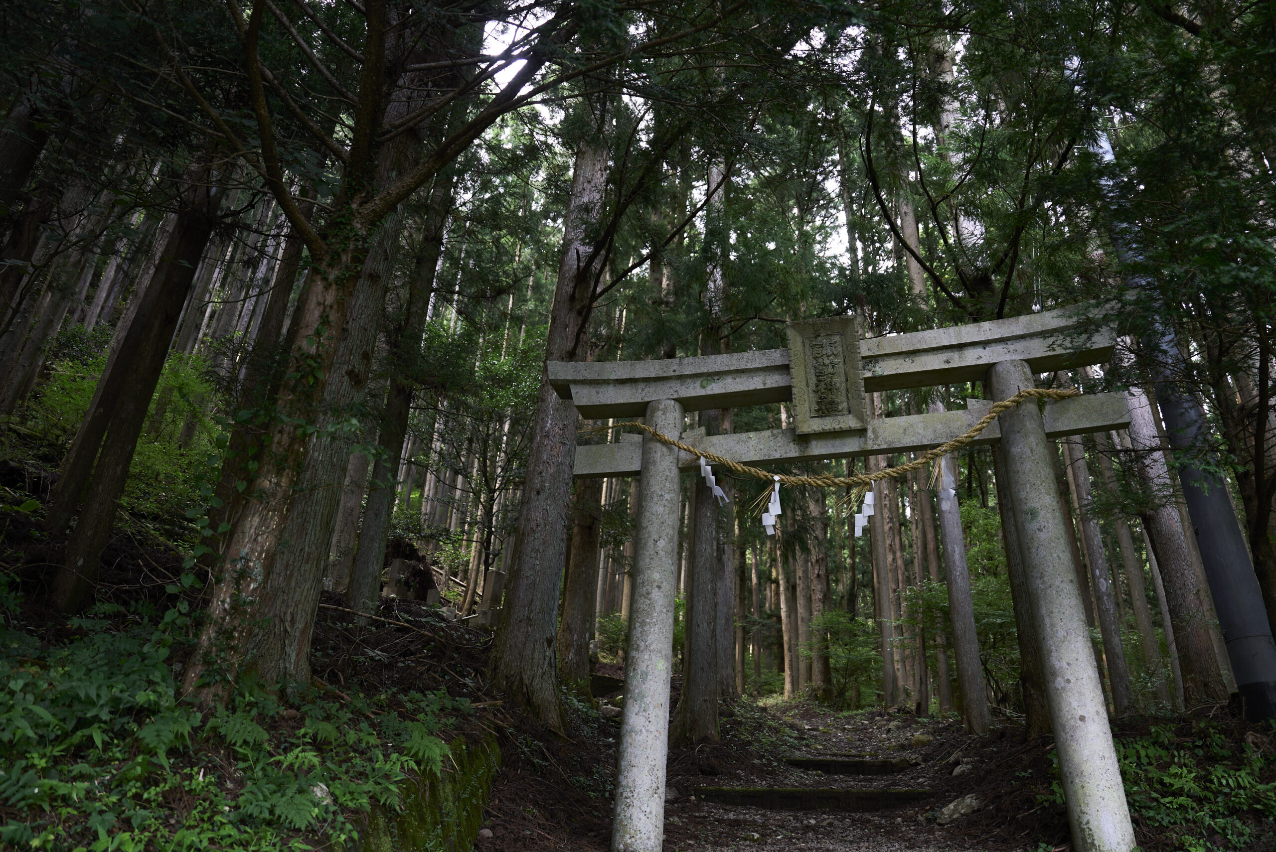 諏訪神社